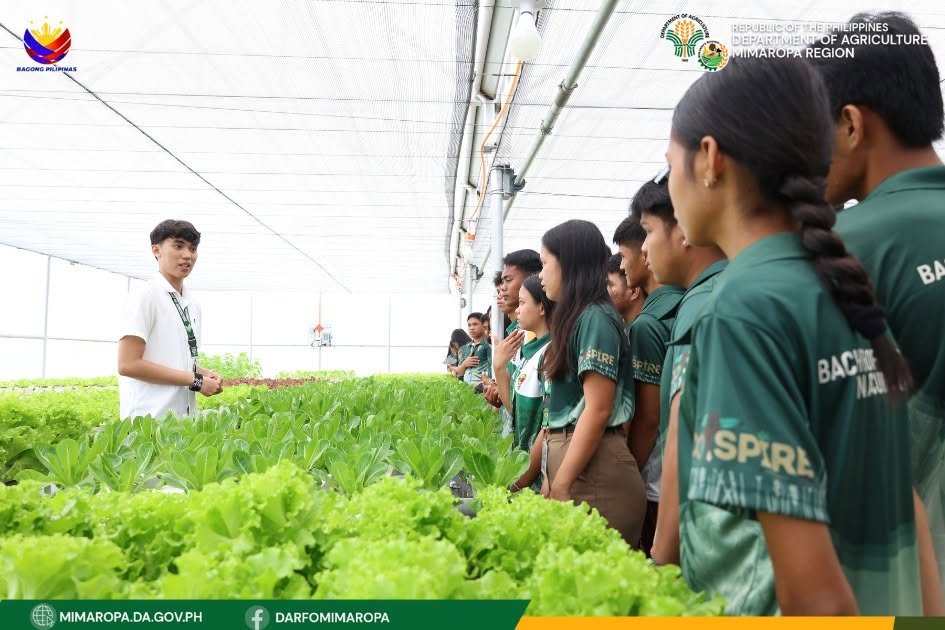 Hydroponic Farm